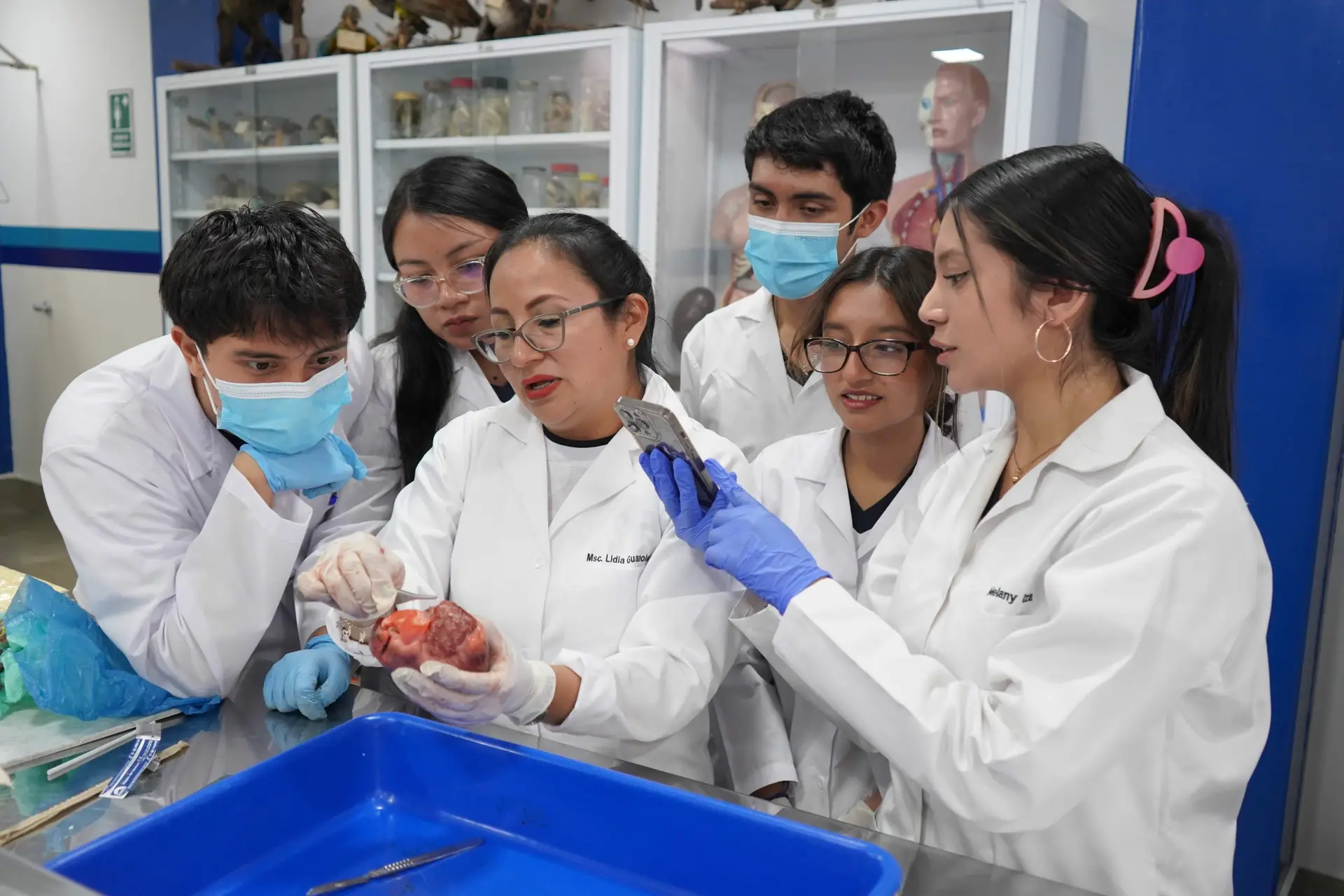 laboratorio SDG